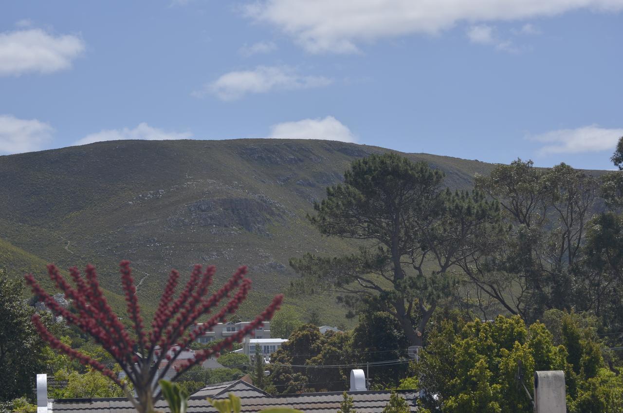Harmony Place Hotel Hermanus Luaran gambar