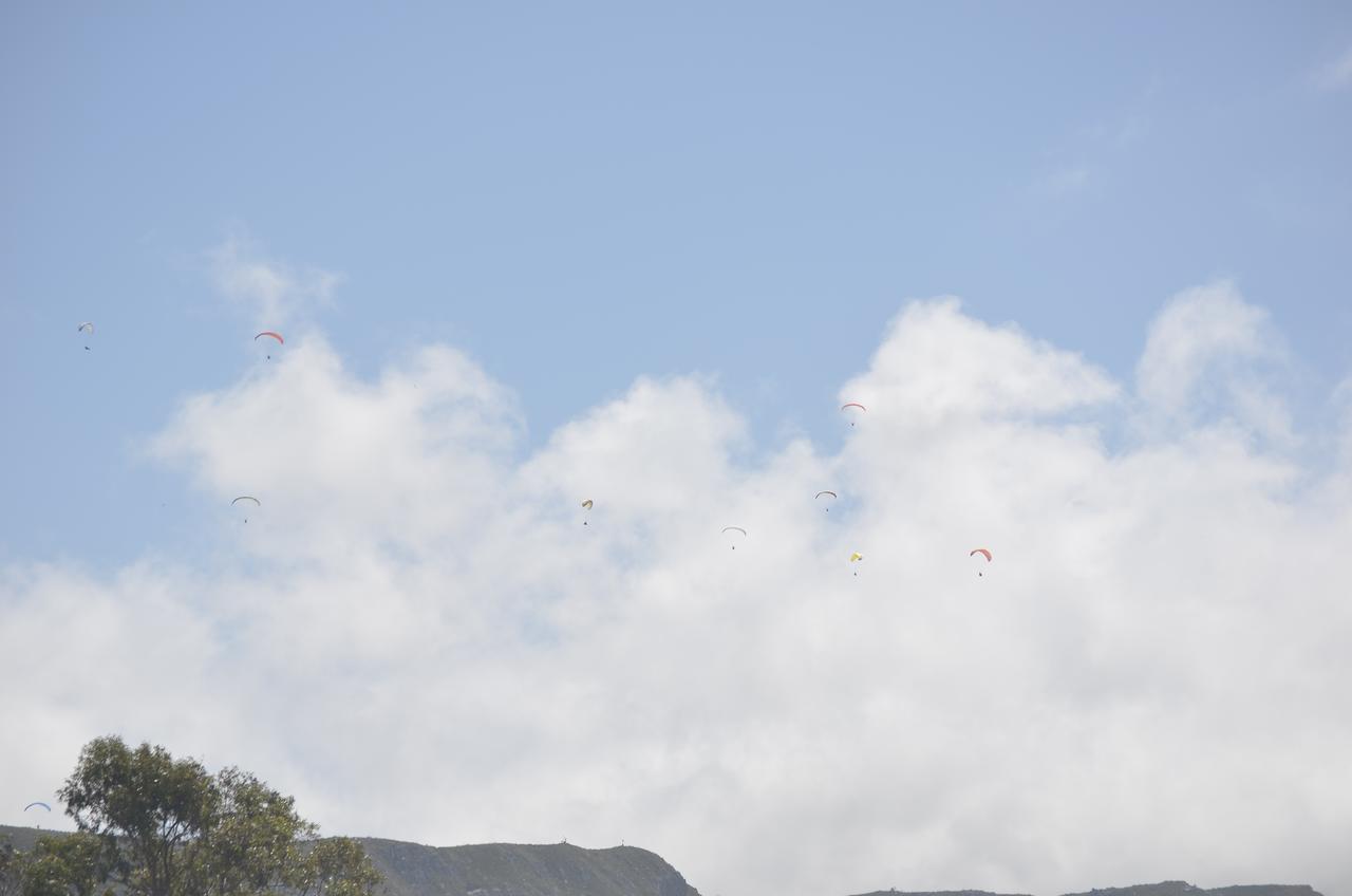 Harmony Place Hotel Hermanus Luaran gambar